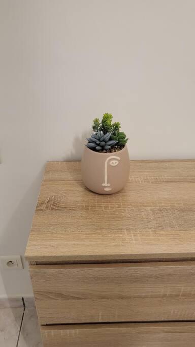 Appartement Chaleureux, Proche De La Gare Perpignano Esterno foto